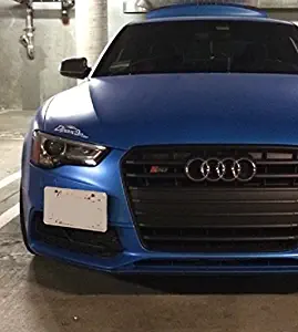 Best Screwdriver For License Plate