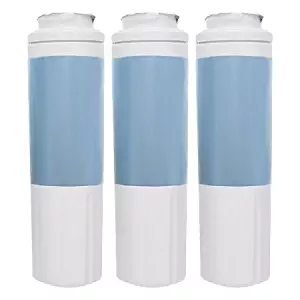 Best Kenmore 10650023211 Water Filter