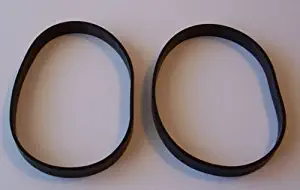 Best Fantom Power Pet Vacuum Cleaner