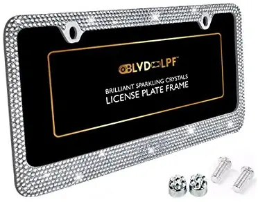 Best Screwdriver For License Plate