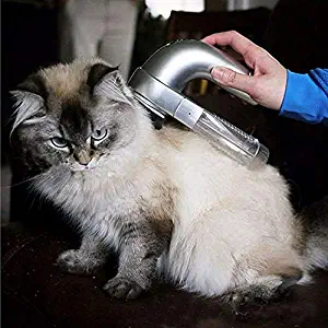 Best Dog Hair Removal Vacuum