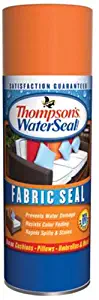 Thompson's TH.010502-18 Waterseal Fabric Seal - Aersol