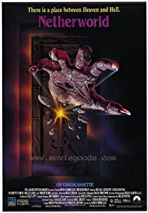Netherworld Movie Poster (27 x 40 Inches - 69cm x 102cm) (1990) -(Michael C. Bendetti)(Denise Gentile)(Anjanette Comer)(Holly Floria)(Robert Burr)(Robert Sampson)