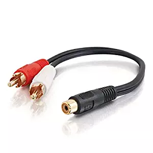 C2G 03181 Value Series One RCA Female to Two RCA Male Y-Cable, Black (6 Inches)