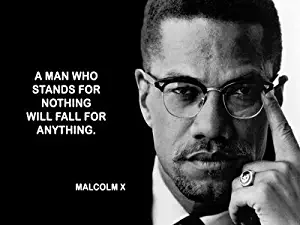 Spot Dog Malcolm X 24X36 Poster SDG #SDG521631