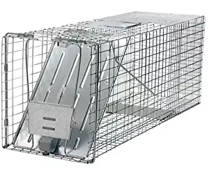 Havahart 1079 Large 1-Door Humane Animal Trap for Raccoons, Cats, Groundhogs, Opossums