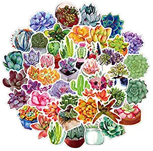 50PCS Succulent Stickers for Laptop and Water Bottles Cute Cactus Plants Trendy Aesthetic Waterproof Vinyl Decals Scrapbooking Sticker Pack for Girls Kids Skateboard Bullet Journaling Planners Phone