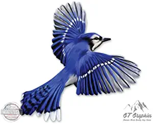 Blue Jay Beautiful Colorful Bird - 3" Vinyl Sticker - For Car Laptop I-Pad Phone Helmet Hard Hat - Waterproof Decal