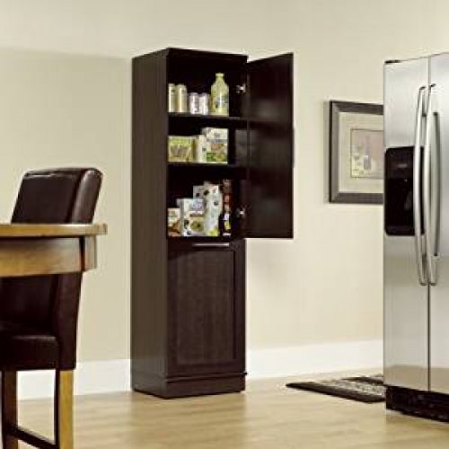 Best Cabinet Storage Kitchen Double Bin